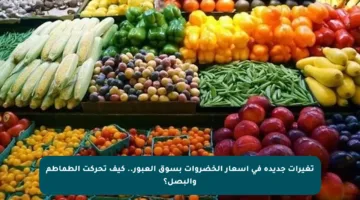 تغيرات جديدة في أسعار الخضروات بسوق العبور.. كيف تحركت الطماطم والبصل؟
